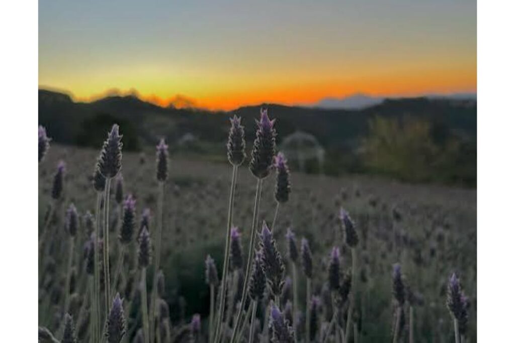 pedra azul (es) um roteiro turístico completo imperdível. (2)