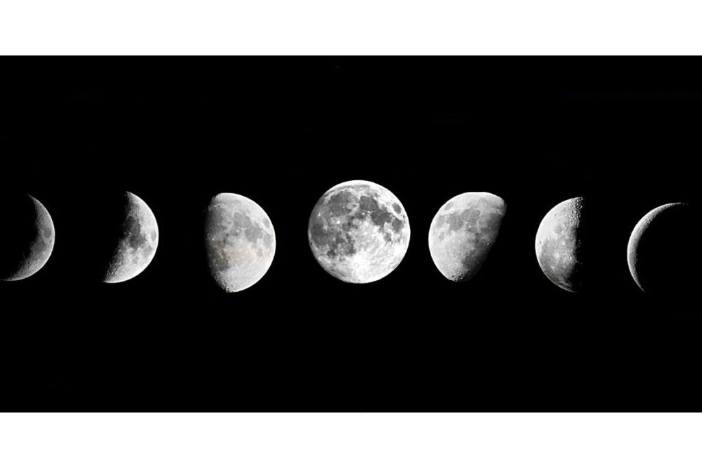 a lua afeta não só o mar, mas também os seres vivos